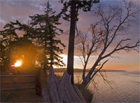 Camano Island